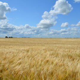 iowa notary training course