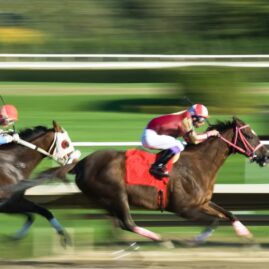 kentucky notary training