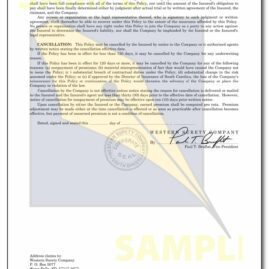 south-carolina-notary-eo-03