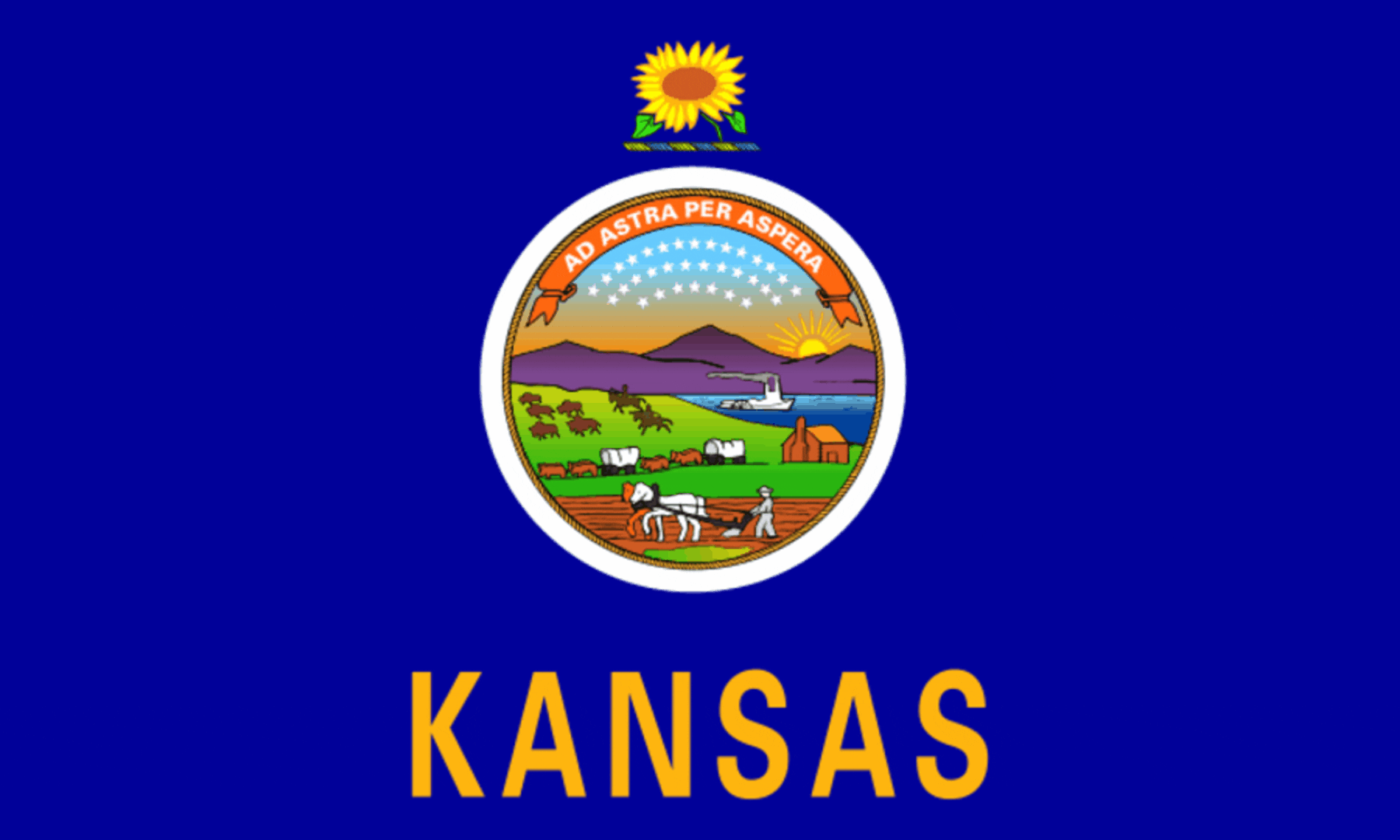 kansas State Flag