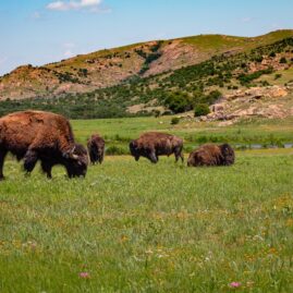 oklahoma notary training